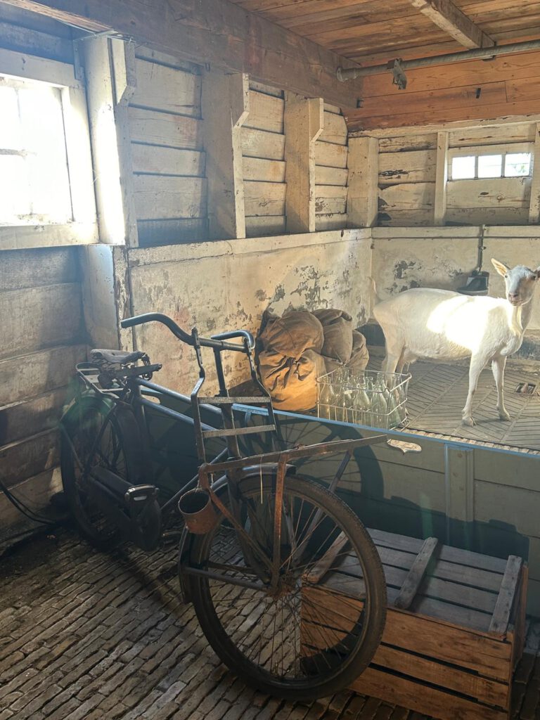 Bike in stall