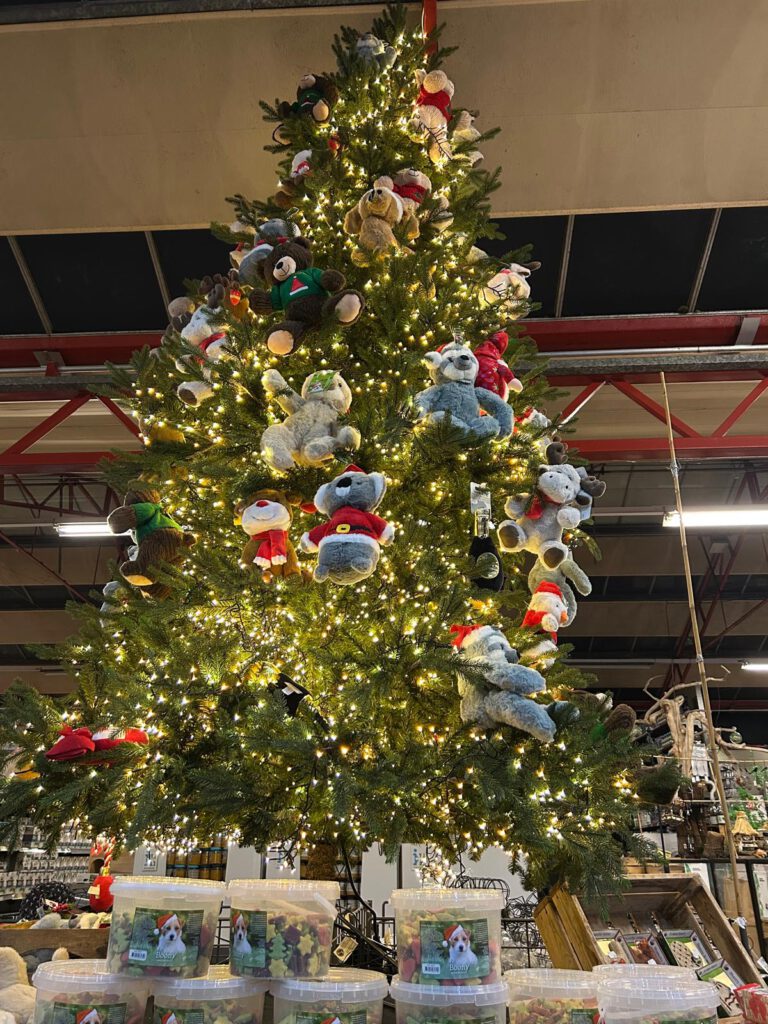 WhatsApp Image 2024-12-05 at 19.27.36 (2)